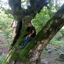  ,    , 36 ,   c 