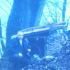  ,   Tornike, 59 ,   