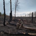 ���������� �������, ���� ������� Artem, 41 ���, ������������ ��� ����� � ���������, c�������� ���������