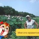 ���������� ���������, ���� ������� ��������, 56 ���, ������������ ��� ������, ����� � ���������, c�������� ���������