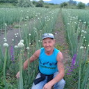  ,   , 59 ,   ,   , c 