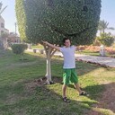  ,   , 31 ,   ,   