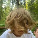 ���������� ���������, ���� ����� �������, 19 ���, ������������ ��� ������, ����� � ���������