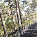 ���������� ���������, ���� ������� ����, 46 ���, ������������ ��� ����� � ���������, c�������� ���������