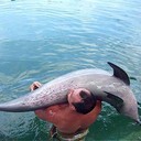  ,   Denis, 37 ,   
