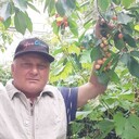  ,   , 68 ,   ,   