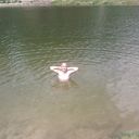 ���������� �������, ���� ������� �������, 39 ���, ������������ ��� ������, ����� � ���������, c�������� ���������