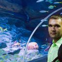 ���������� ���������, ���� ������� �����, 35 ���, ������������ ��� ������, ����� � ���������, c�������� ���������