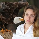 ���������� ������, ���� ������� �����, 45 ���, ������������ ��� ������, ����� � ���������