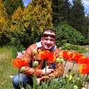 ���������� �����, ���� ������� �����, 49 ���, ������������ ��� ������, ����� � ���������, c�������� ���������