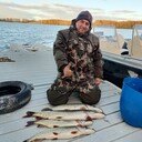 ���������� ������, ���� ������� Roman, 50 ���, ������������ ��� ������, ����� � ���������