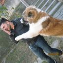 ���������� ������, ���� ������� Beqa, 46 ���, ������������ ��� ������, ����� � ���������, c�������� ���������