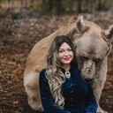 ���������� �����, ���� ������� �������, 53 ����, ������������ ��� ������, ����� � ���������