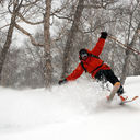 ���������� ������, ���� ������� ������, 47 ���, ������������ ��� ����� � ���������, c�������� ���������