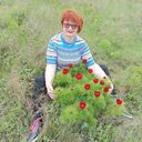 ���������� �����������, ���� ������� �����, 49 ���, ������������ ��� ������, ����� � ���������, c�������� ���������