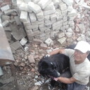 ���������� �������, ���� ������� ����, 47 ���, ������������ ��� ����� � ���������, c�������� ���������