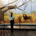 ���������� �����������, ���� ������� ��������, 47 ���, ������������ ��� c�������� ���������