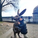  ,   , 42 ,   ,   