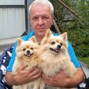 ���������� �����-���������, ���� ������� ����, 63 ����, ������������ ��� ������, ����� � ���������, c�������� ���������