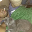 ���������� ������, ���� ������� ������, 36 ���, ������������ ��� ������, ����� � ���������, c�������� ���������