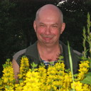  ,   , 70 ,   