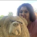  ,   , 51 ,   ,   
