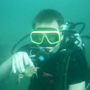 ���������� ������, ���� ������� ����, 40 ���, ������������ ��� ������