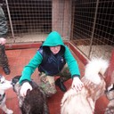 ���������� ������, ���� ������� ������, 38 ���, ������������ ��� ������, ����� � ���������, c�������� ���������