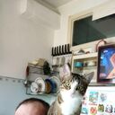  ,   , 53 ,   ,   , c 