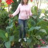  ,   , 52 ,   ,   , c 