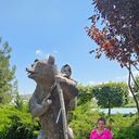 ���������� ���������, ���� ������� �������, 52 ����, ������������ ��� c�������� ���������