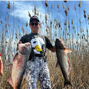 ���������� ������, ���� ������� CanisMajoris, 40 ���, ������������ ��� ������, ����� � ���������, c�������� ���������, ���������