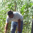  ,   , 38 ,     , c 