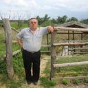  ,   , 66 ,   