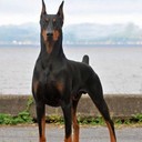 ���������� ������, ���� ������� ����, 31 ���, ������������ ��� ������, ����� � ���������, c�������� ���������