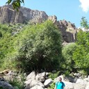 ���������� ������, ���� ������� �����, 38 ���, ������������ ��� ����� � ���������, c�������� ���������