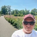  Alba Iulia,   Vlad, 70 ,   ,   