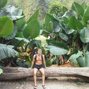 ���������� ����, ���� ������� ������, 43 ����, ������������ ��� ������, ����� � ���������, c�������� ���������