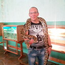  -,   , 41 ,   ,   , c , 