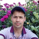  ,   , 40 ,   ,   