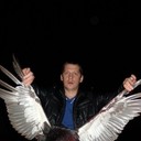 ���������� �����-���������, ���� ������� ���, 41 ���, ������������ ��� ������, ����� � ���������, c�������� ���������