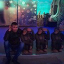 ���������� ������, ���� ������� ����, 39 ���, ������������ ��� c�������� ���������