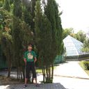  -,   , 55 ,   ,   , c 