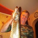 ���������� �����-���������, ���� ������� ������, 54 ����, ������������ ��� ������, ����� � ���������