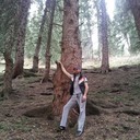 ���������� ������, ���� ������� ����, 39 ���, ������������ ��� ������