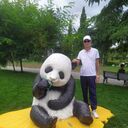 ���������� ���������, ���� ������� ������, 49 ���, ������������ ��� ������, c�������� ���������, ���������