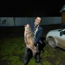 ���������� ���, ���� ������� �����, 37 ���, ������������ ��� ����� � ���������, c�������� ���������