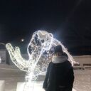 ���������� �������, ���� ������� ������, 49 ���, ������������ ��� c�������� ���������