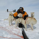 ���������� ����, ���� ������� ������, 38 ���, ������������ ��� ������