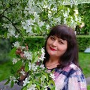 ���������� �������, ���� ������� �����, 52 ����, ������������ 